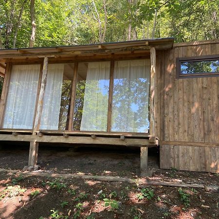Suxen Nature Experience - Lodge Con Vista Panoramica Prepotto  Luaran gambar